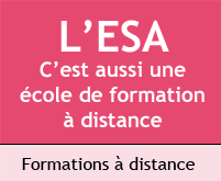 BTS Assurance à Distance